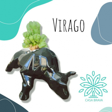 Virago